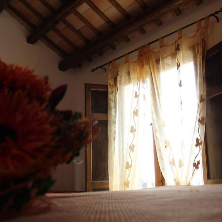 Hibiscus Appartement Marausa Buitenkant foto