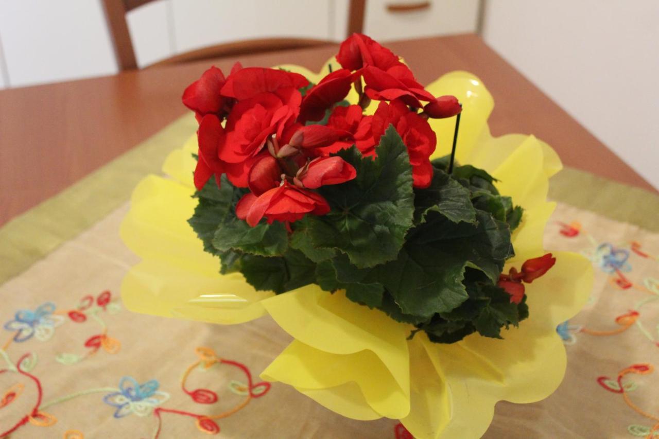 Hibiscus Appartement Marausa Buitenkant foto